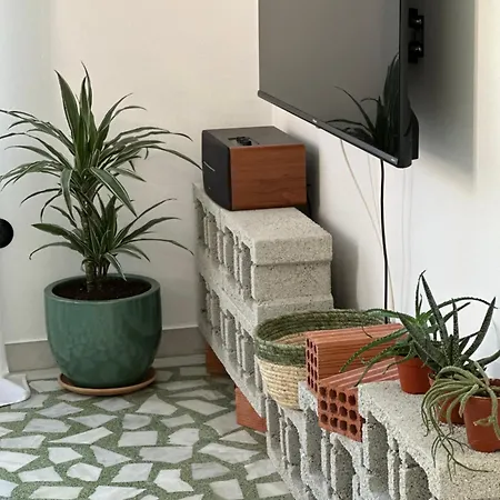 The Lassis 15 House * アルゴストリオン